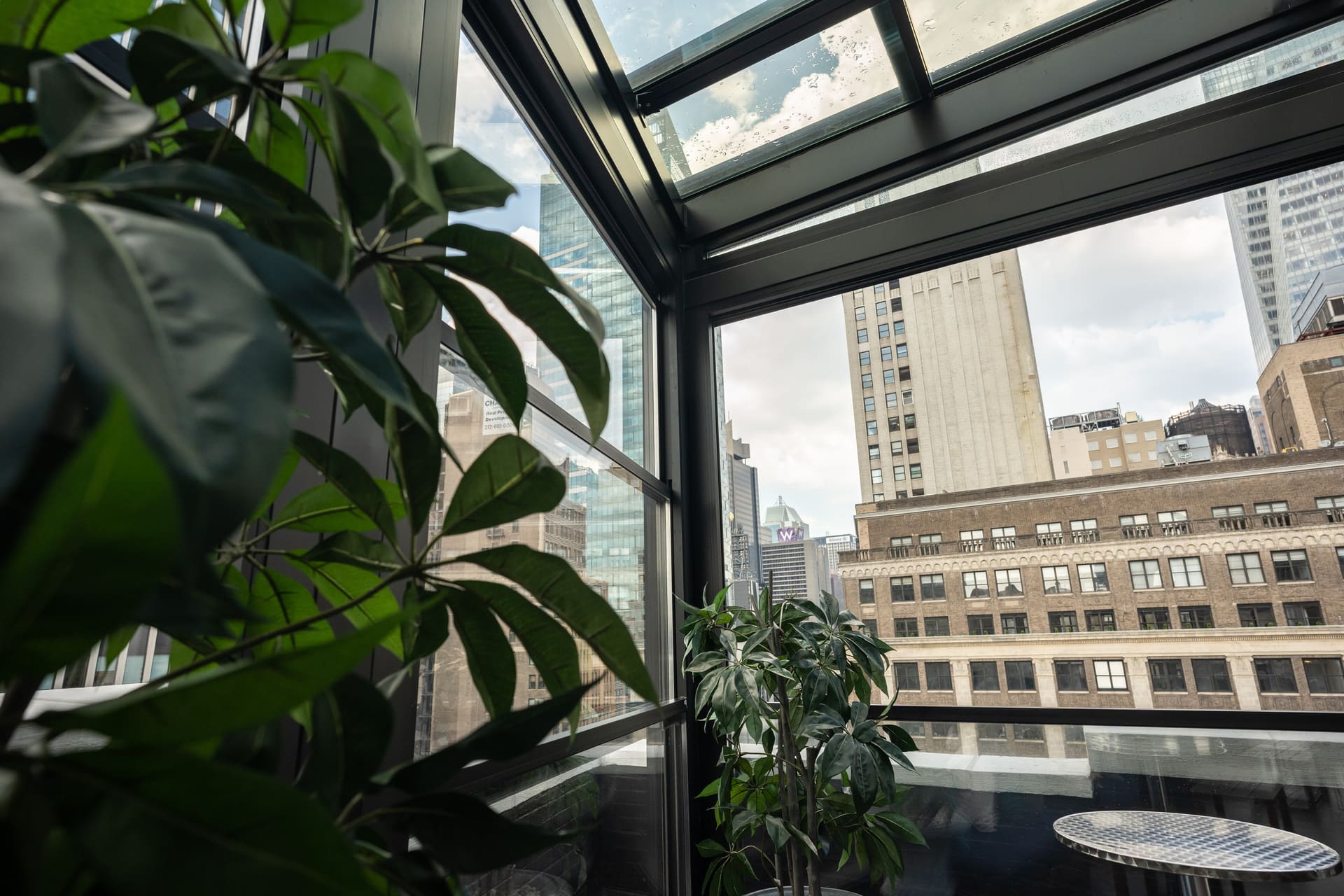 Elsie Rooftop